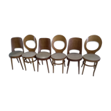 Suite of 6 chairs Baumann model Mondor and Seagull 1960