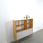 Deens Domino Mobler kast met klepdeur