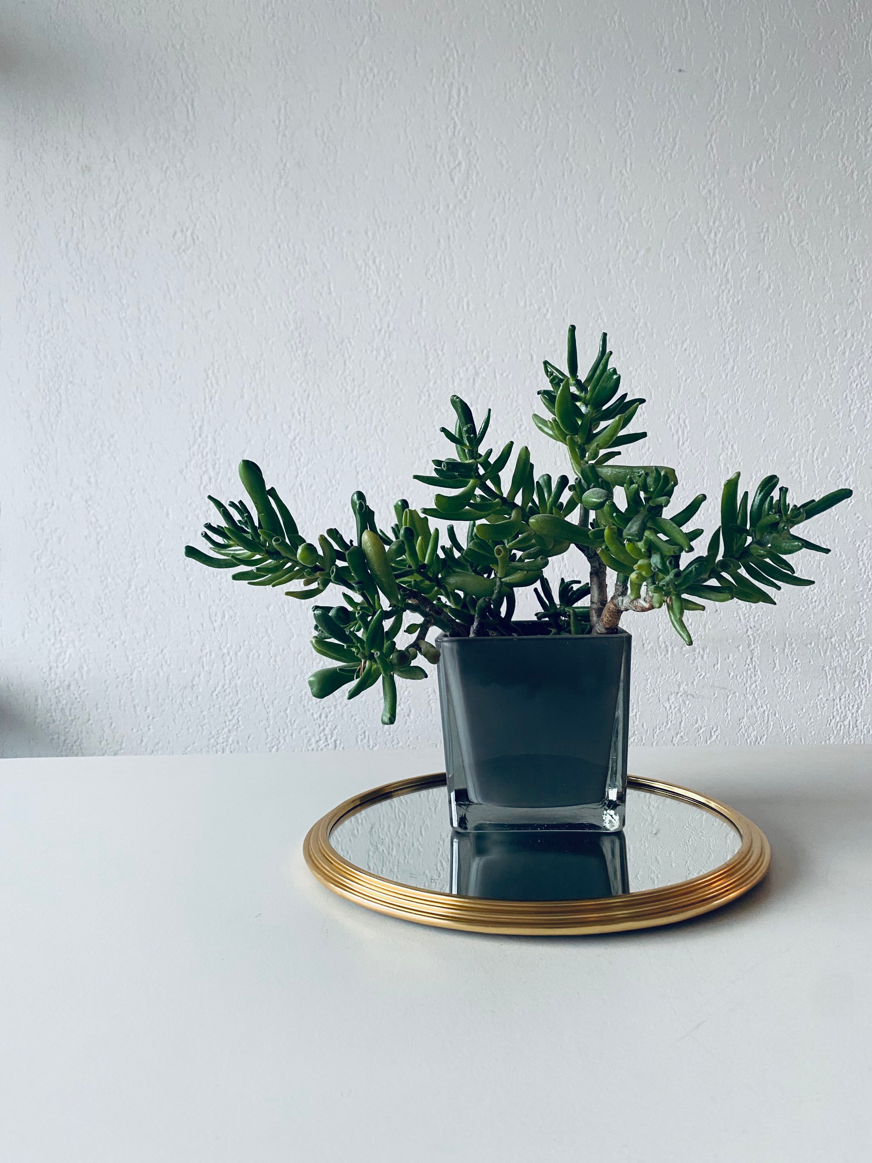 Vintage brass mirror