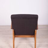 Type 300-138 Beech Armchairs from Bystrzyckie Furniture Factory, 1960s, Set of 2