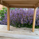 Duo de chaises Baumann
