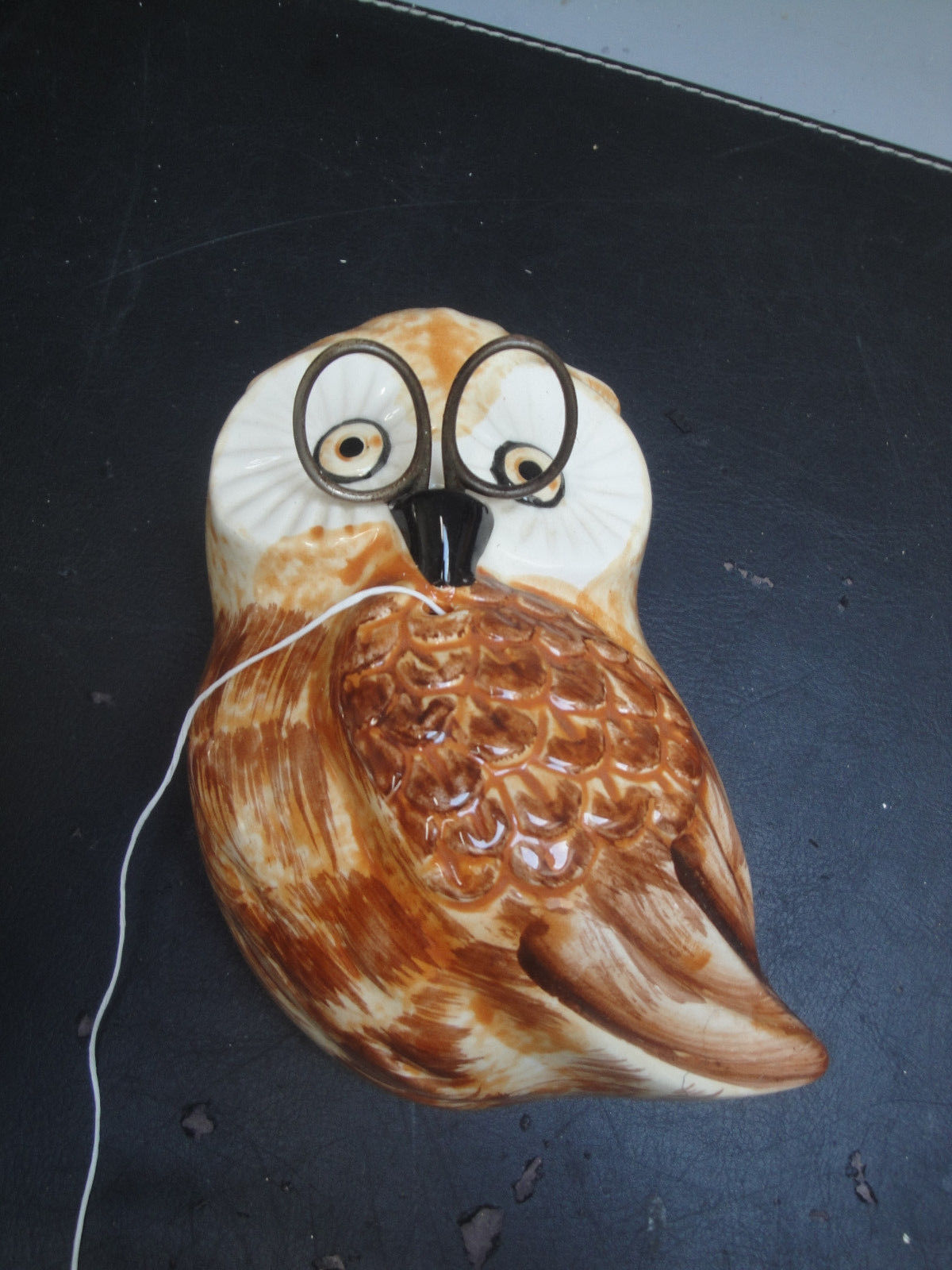 Owl arranges wire or rope