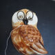 Owl arranges wire or rope