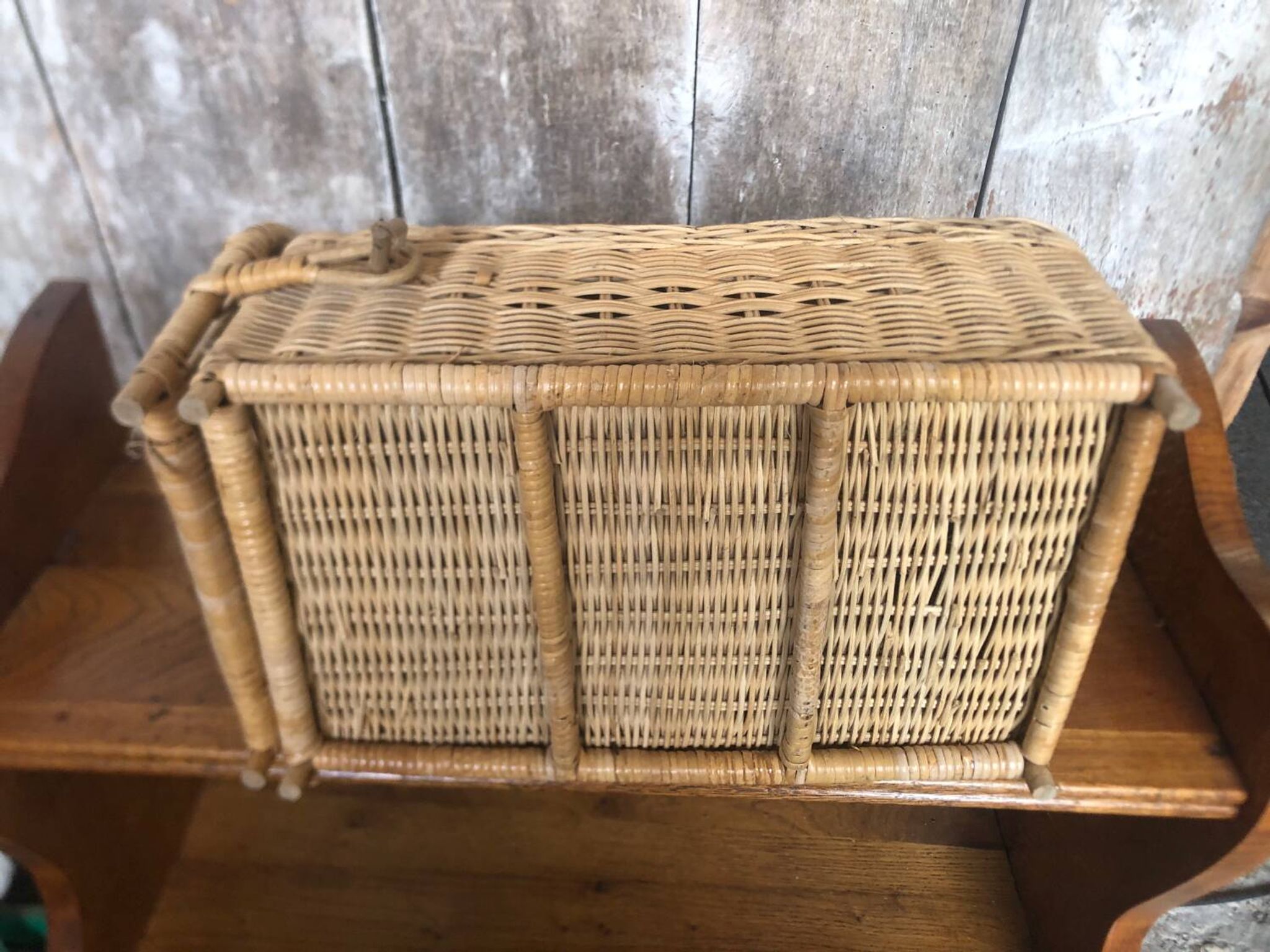 Old basket transport trunk rattan cage puppies kittens animals vintage