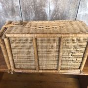 Old basket transport trunk rattan cage puppies kittens animals vintage