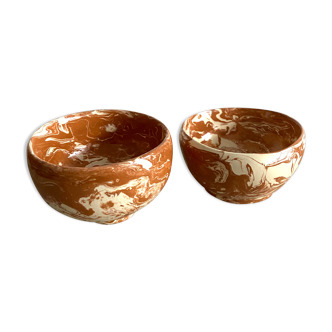 Duo of mixed earth bowls
