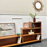 Vintage bookcase / TV cabinet