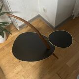 Kidney table