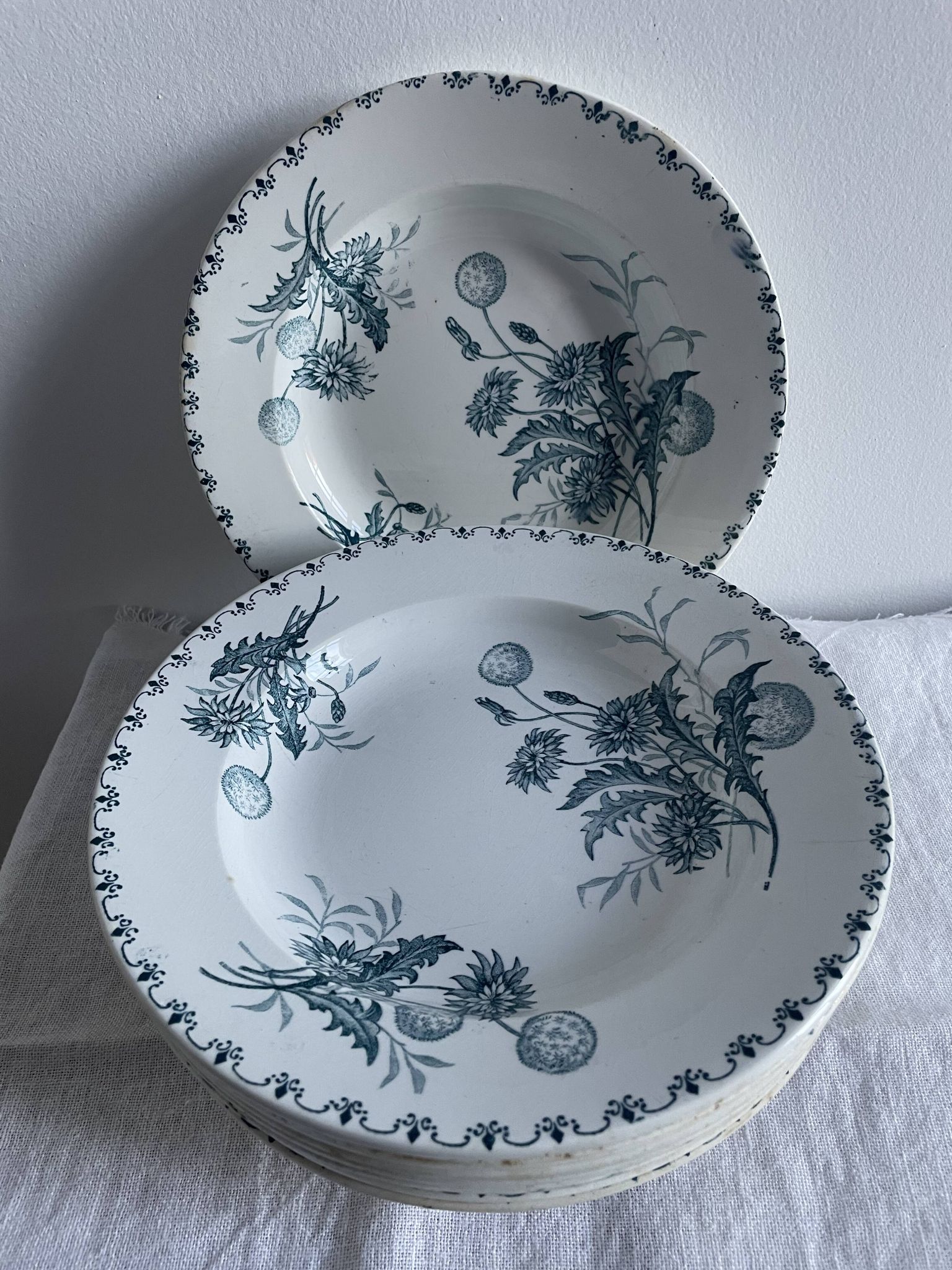 Set of 10 hollow plates Terre de Fer XIXth, model Madrid
