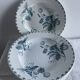 Set of 10 hollow plates Terre de Fer XIXth, model Madrid