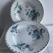 Set of 10 hollow plates Terre de Fer XIXth, model Madrid