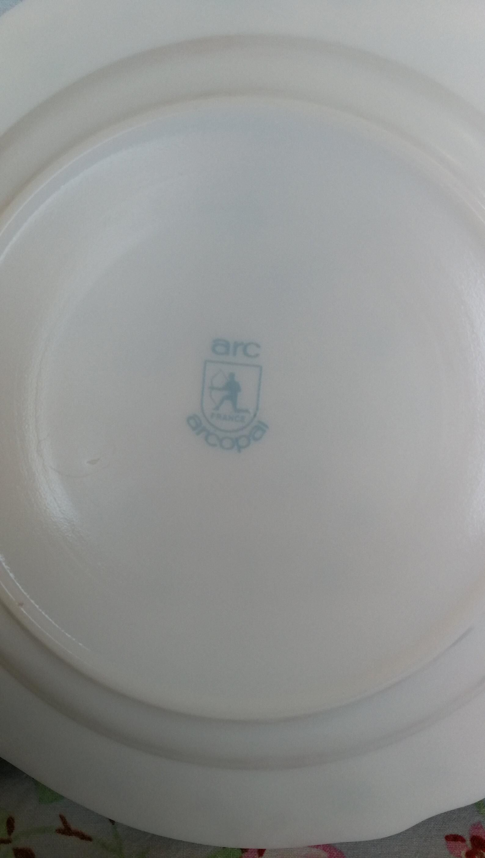 6 arcopal hollow plates veronica myosotis blue flowers 70s