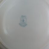 Lot de 6 assiettes creuses Arcopal Veronica Myosotis années 70