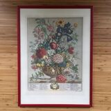 Old English botanical plate for the month of June
