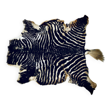 Authentic vintage zebra skin