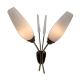 Double wall lamp