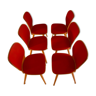 6 MAX BILL chairs by BAUMANN 800 series