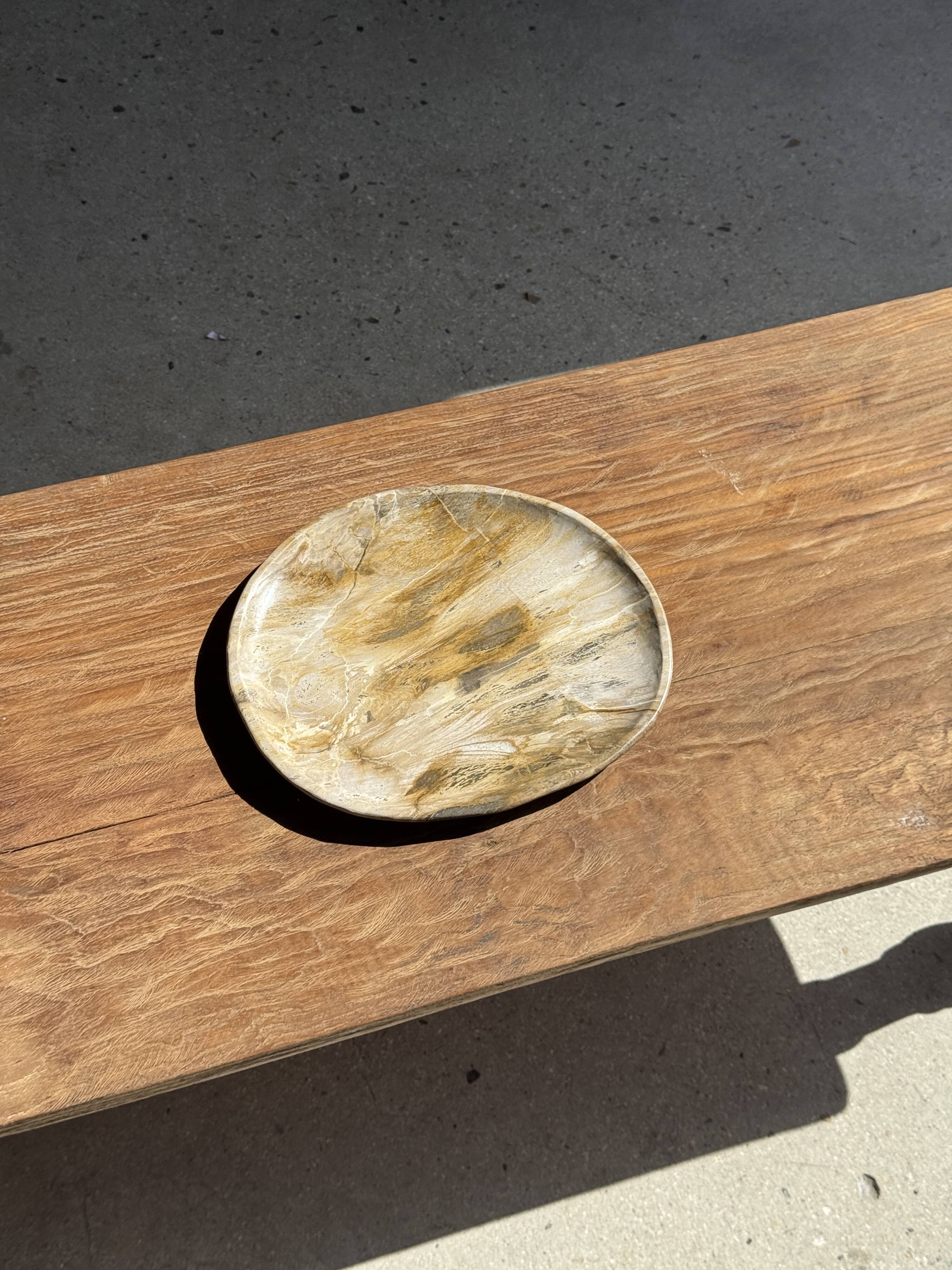 Petrified wood bowl or dish D27x24 -3319