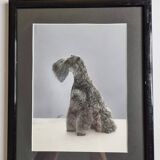 Black and white silver print, xanine silhouette, signed (Dim) Henri Dimont, 32 x 25 cm