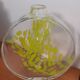 Grand vase en verre vintage