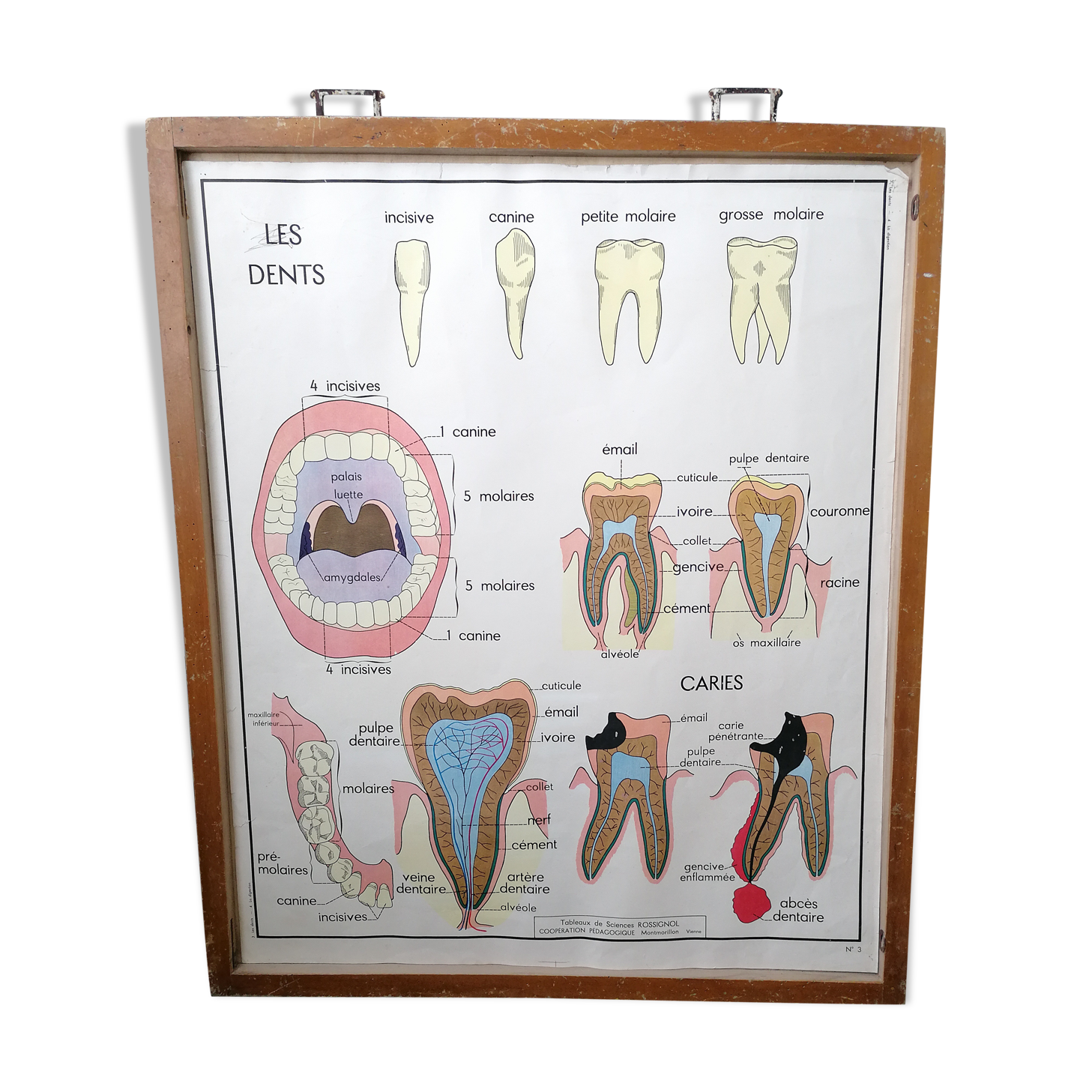 Former Rossignol school poster