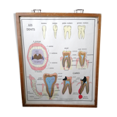 Ancienne affiche scolaire Rossignol