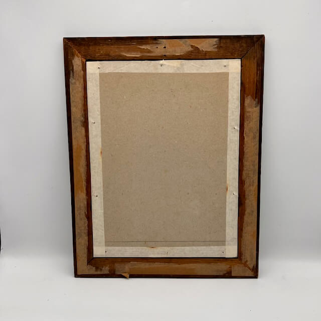 Engraving Crested Black Woodpecker from Louisiana