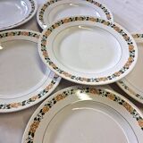 6 Villeroy & Boch dinner plates in good condition