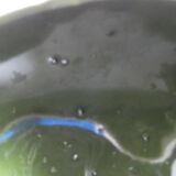 Duck spinach
