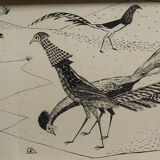 Gravure "Faisans Orientaux" 1950's