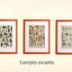 Antique engraving 1928 A. Millot - Wood-boring insects 1, damage to trees