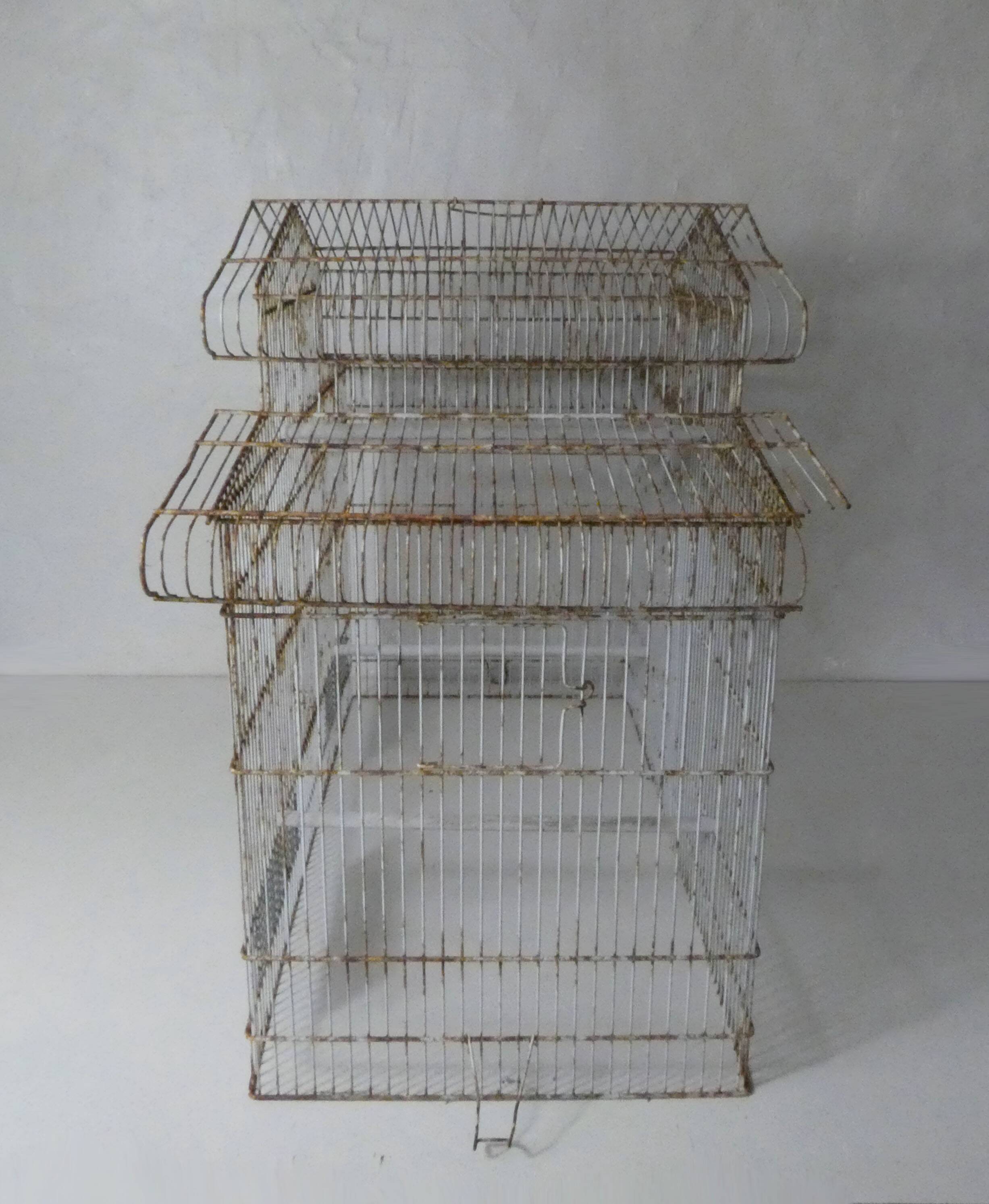 Large bird cage