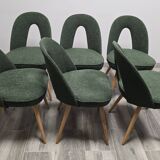 Dining Chairs by Antonin Suman, 1960s, Set of 6