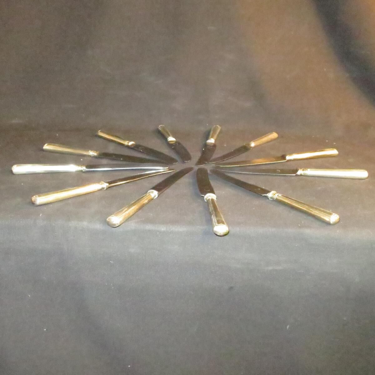 Set of 12 dessert knives stainless blades Adrien Bergeon goldsmith
