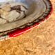 Large ceramic platter by Eugenio Patarino (Italy)