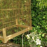 Old bird cage