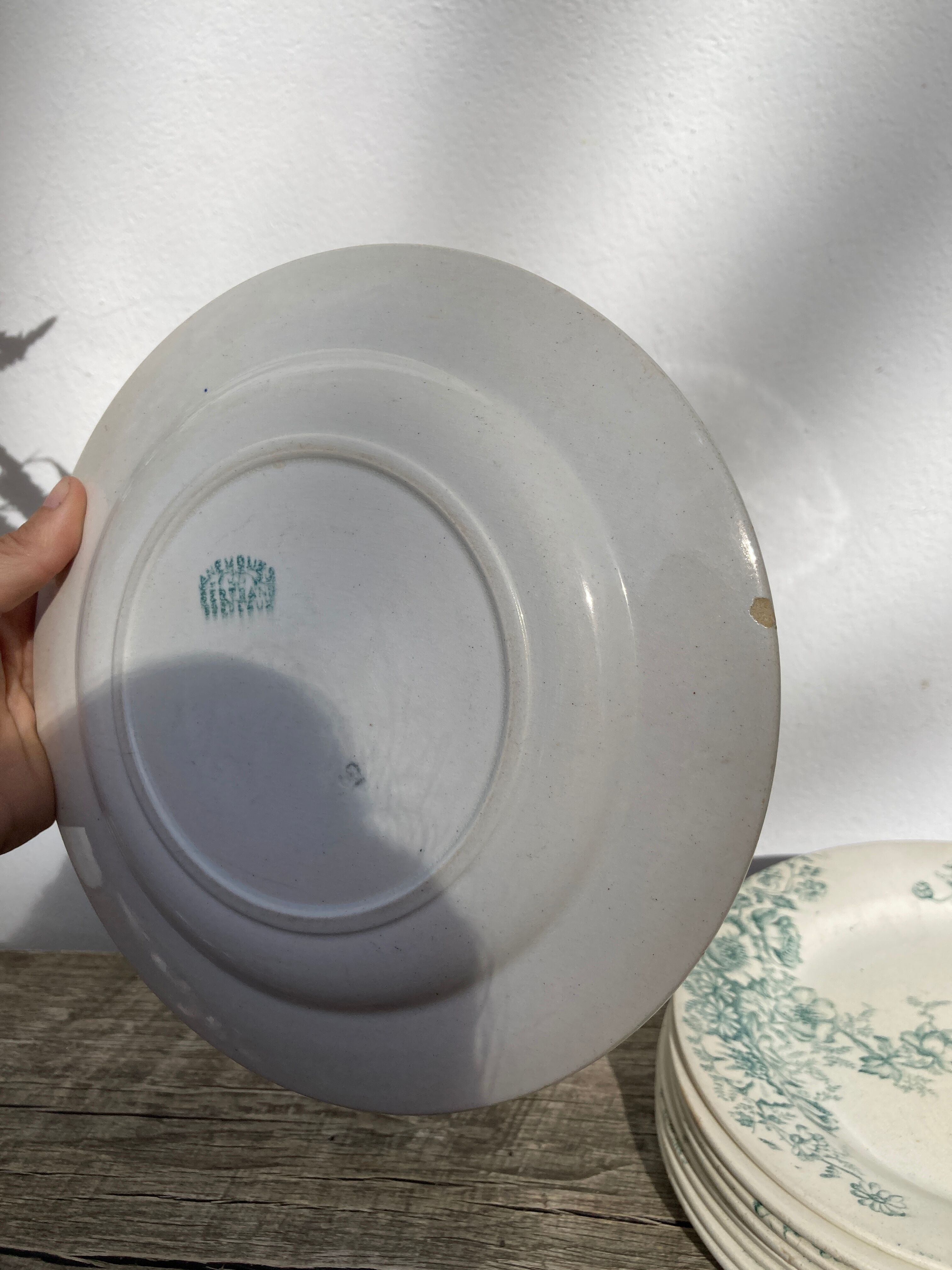 8 Terre de fer plates Anémones Bertrand Bordeaux old in green ceramic decorated with flowers