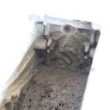 Art deco cast iron planter