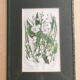 Gravure herbier