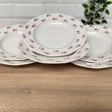 Set of 6 Porcelor Ceranord earthenware soup plates