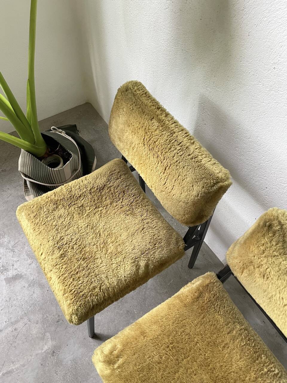 Set de trois chaises années 50