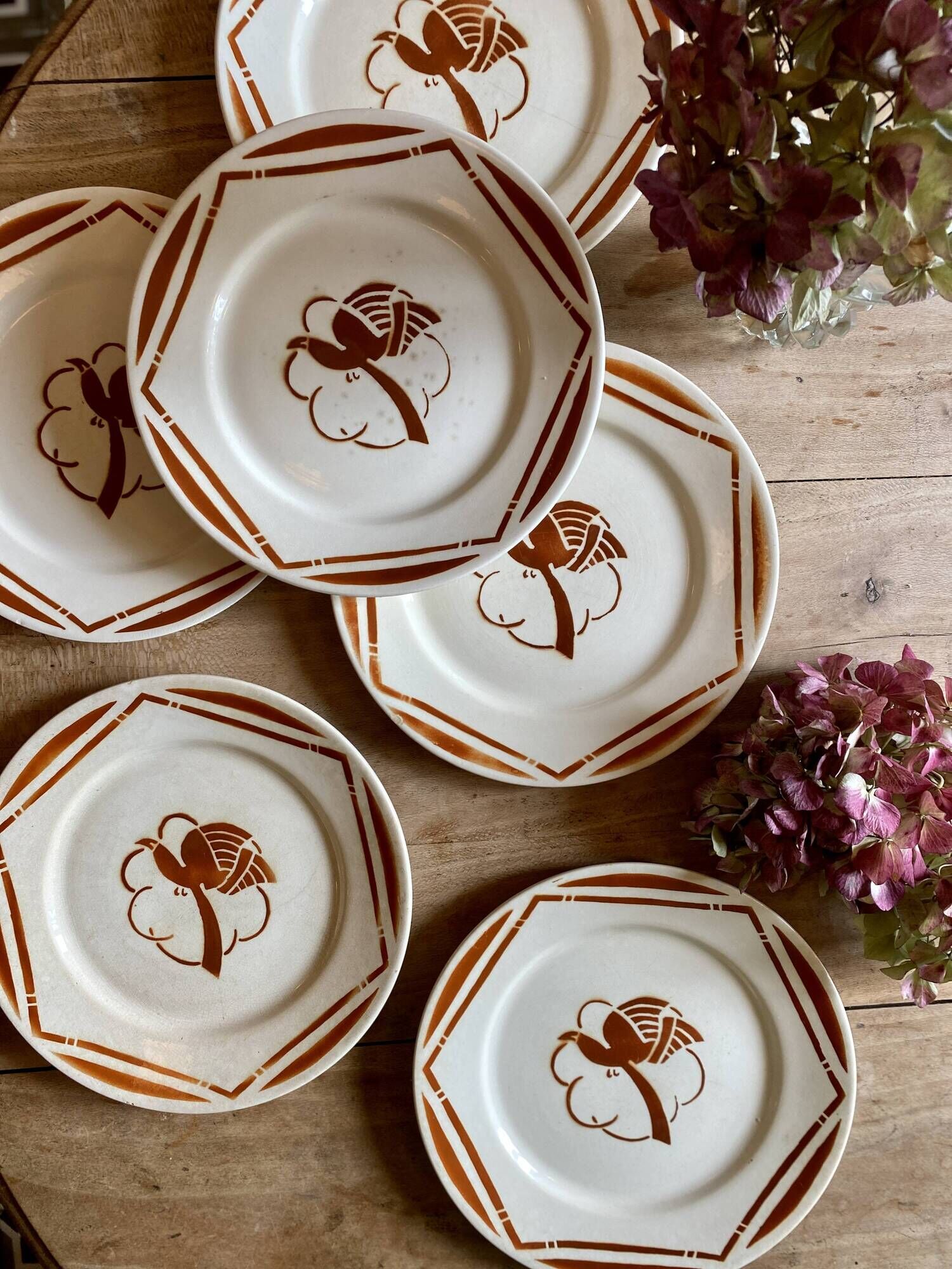 Set of 6 vintage flat plates in iron earth, Paradis de Badonvillier models