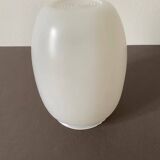 White opaline tulip