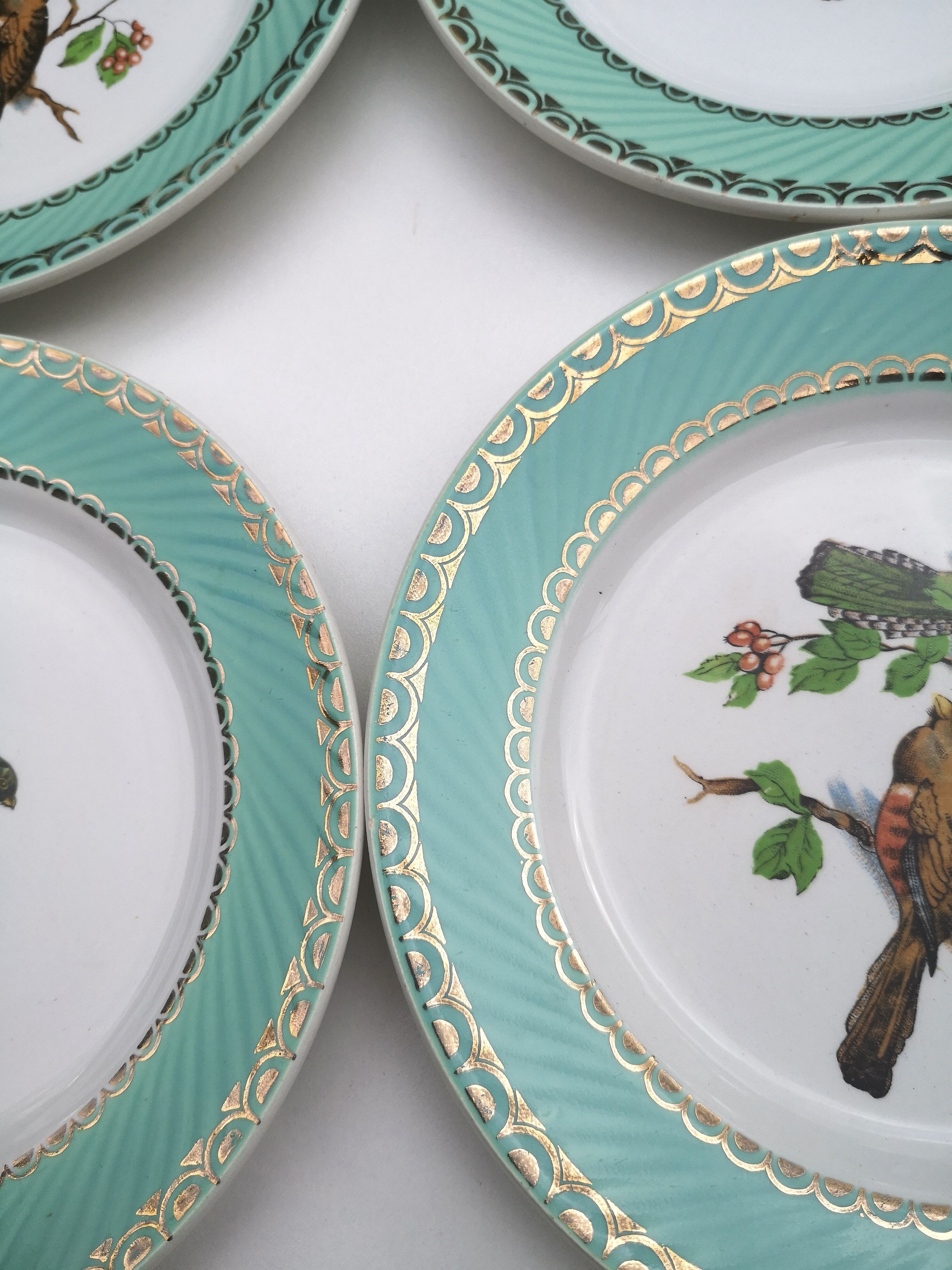 Flat plates "birds" badonviller