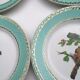 Flat plates "birds" badonviller