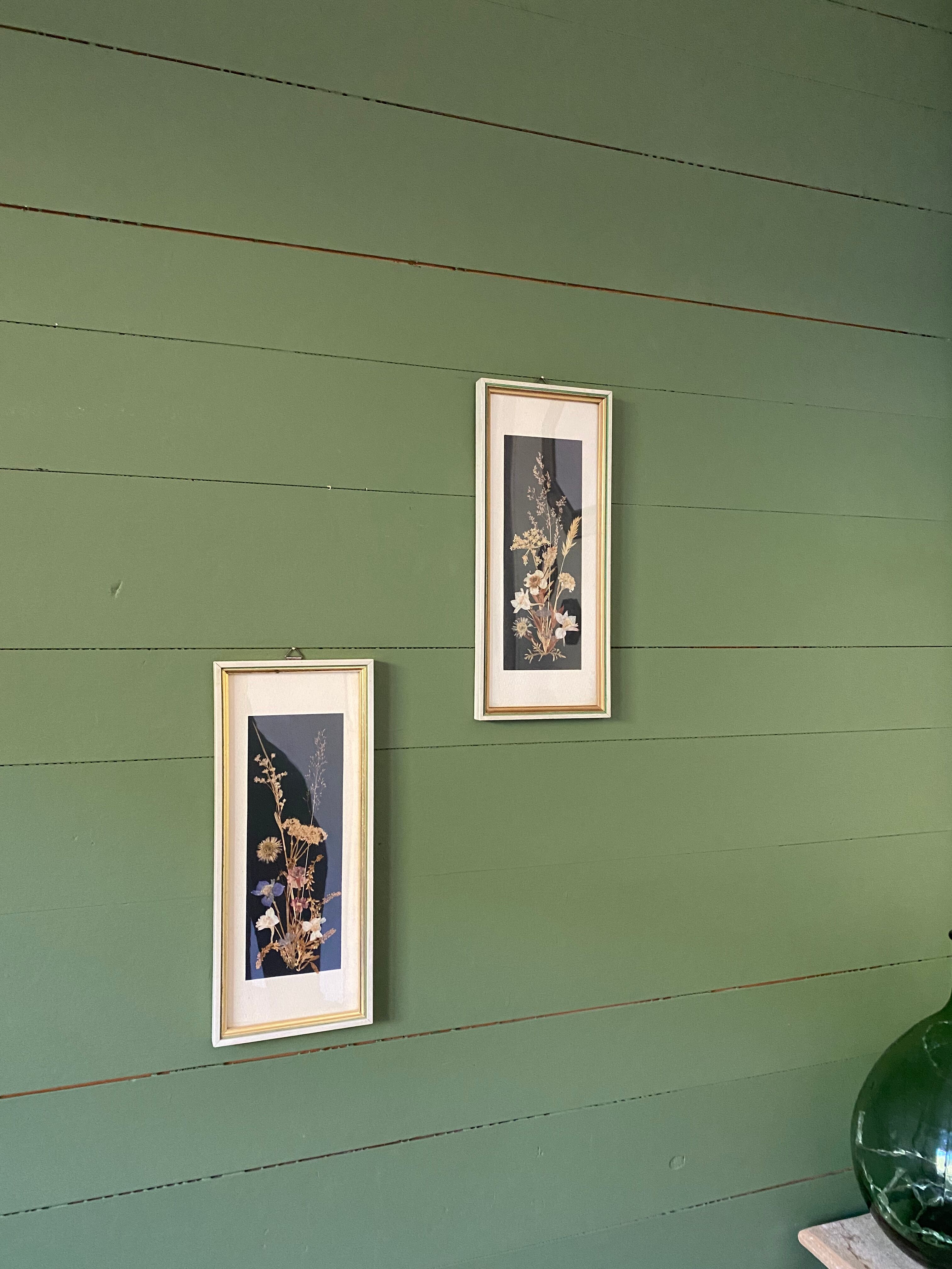 Framed seagrass beds