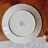 Set of 6 Villeroy&Boch Paradiso defect plates