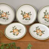 5 assiettes plates anciennes en faïence de Gien