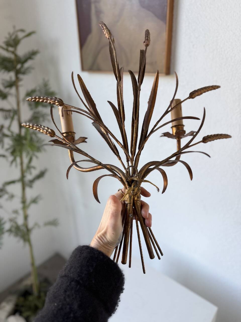 “Ear” wall light in gilded brass