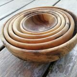 Series of olive bowls